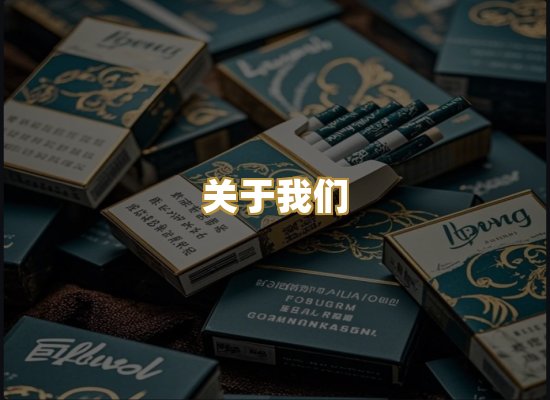 关于我们